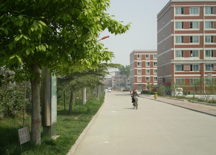 郑州财经学院——校园大道